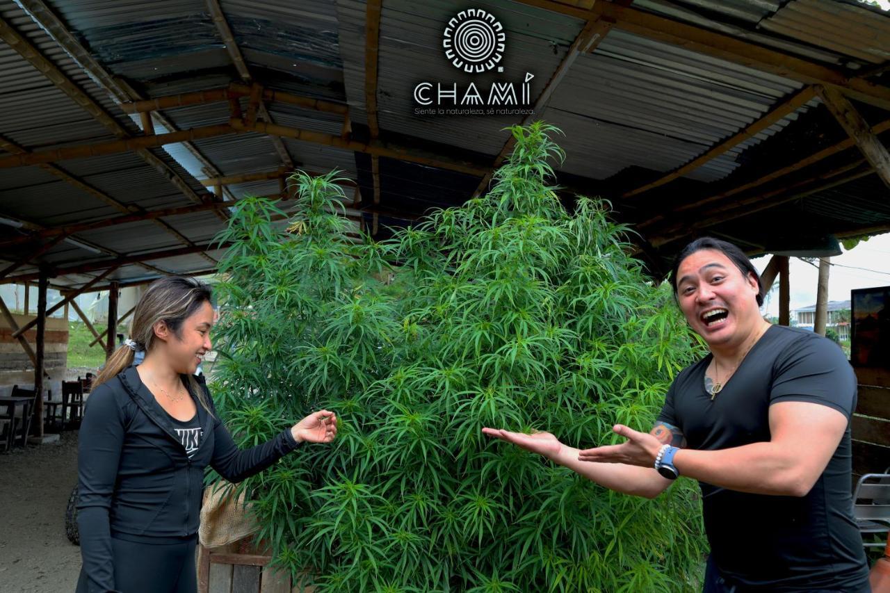 Chami Glamping Villa Manizales Exterior photo